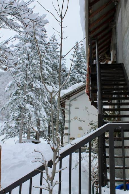 Bel Appartement - Parc National Des Ecrins Pelvoux Eksteriør billede